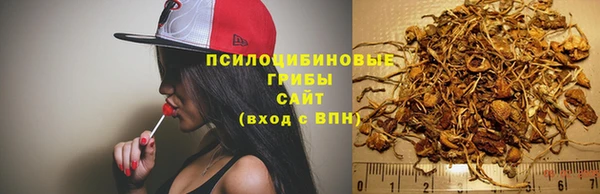spice Абинск