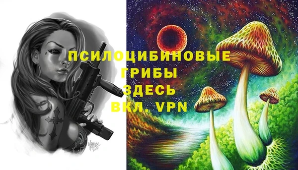 кокаин премиум Абаза