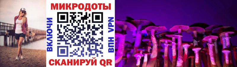 Псилоцибиновые грибы Cubensis  Тотьма 